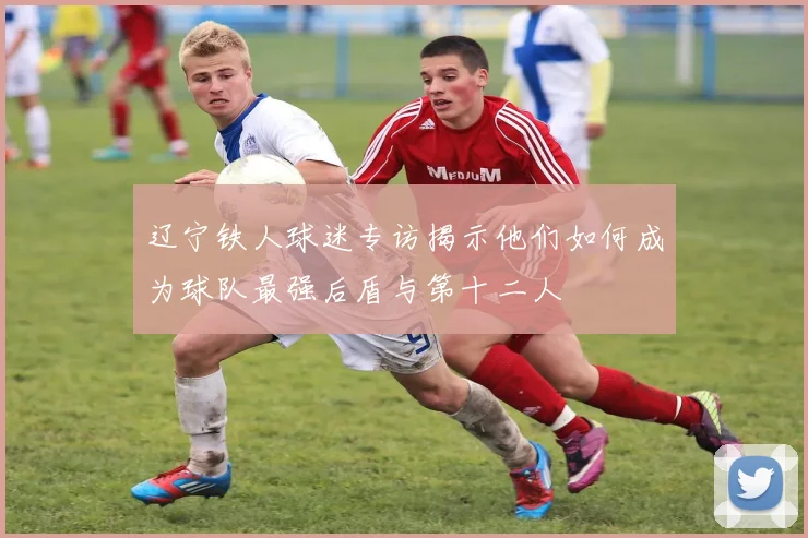 辽宁铁人球迷专访揭示他们如何成为球队最强后盾与第十二人