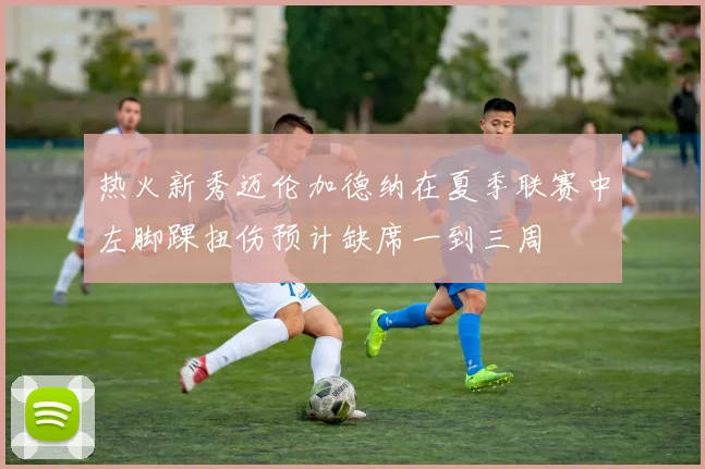 热火新秀迈伦加德纳在夏季联赛中左脚踝扭伤预计缺席一到三周